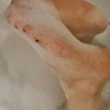 sweetfeetbubble from onlyfans